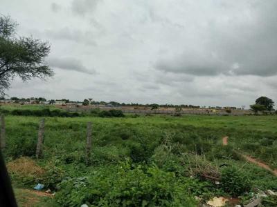  sahithi-ii Landscape Garden and Tree Planting