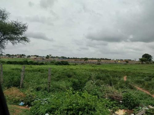  sahithi-ii Landscape Garden and Tree Planting