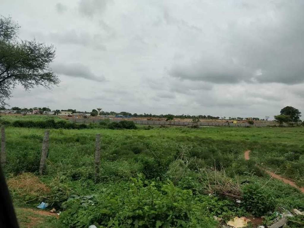  sahithi ii Landscape Garden and Tree Planting