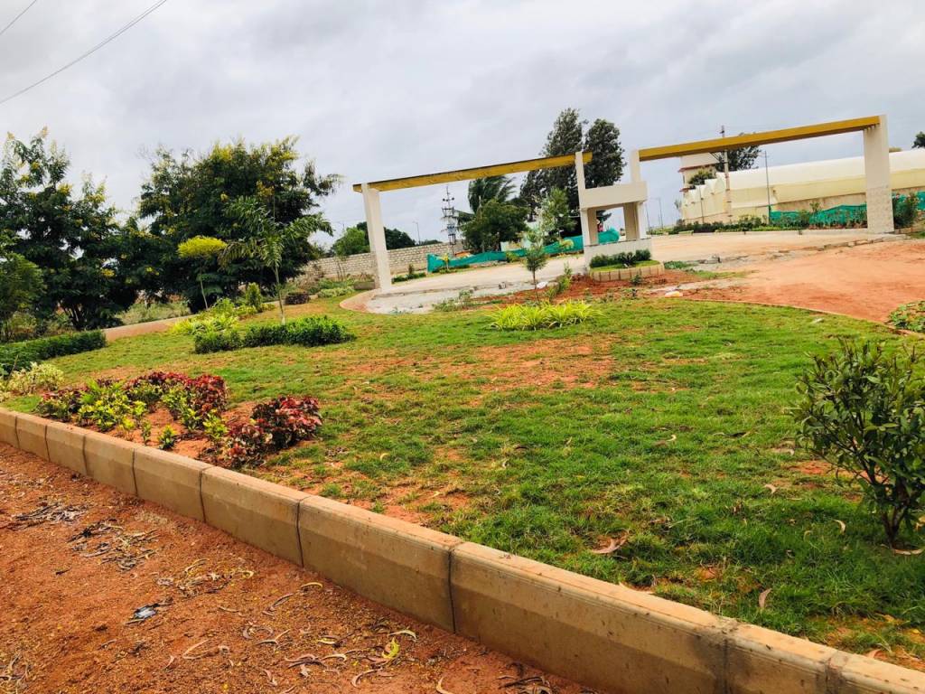 Images for mainOther