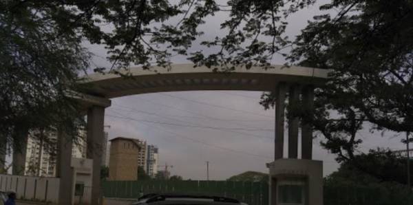  olive-tower-1 Others