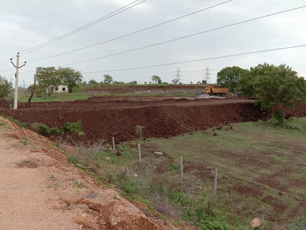 Images for mainOther