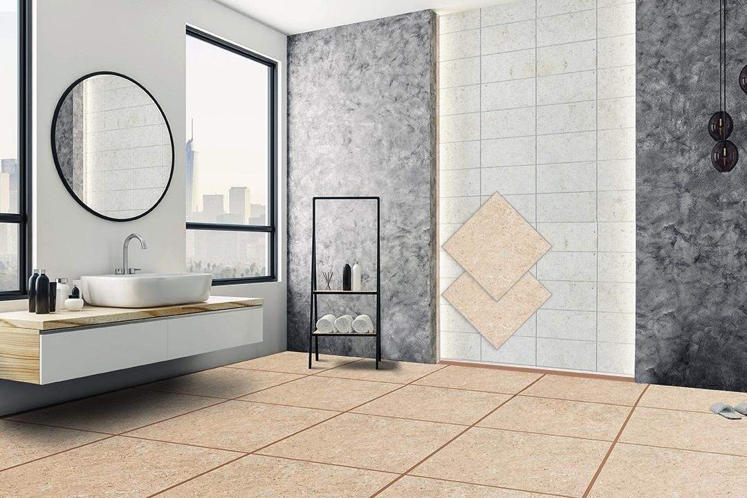  the virtuoso serviced homes for seniors Bathroom