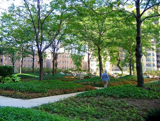  brindhavan Landscape Garden and Tree Planting