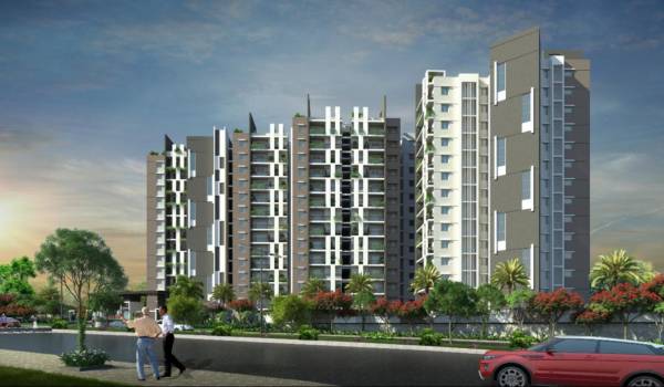  rr-avenues Elevation