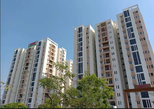  parkway phase 2 Elevation