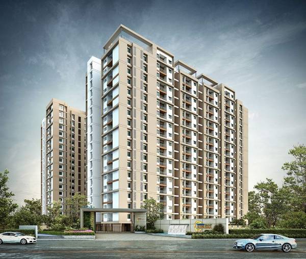  suprema Images for Project