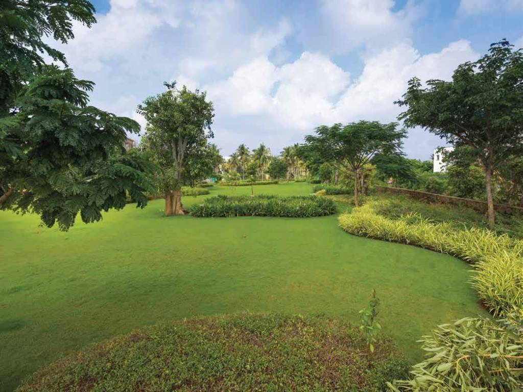 Images for amenities