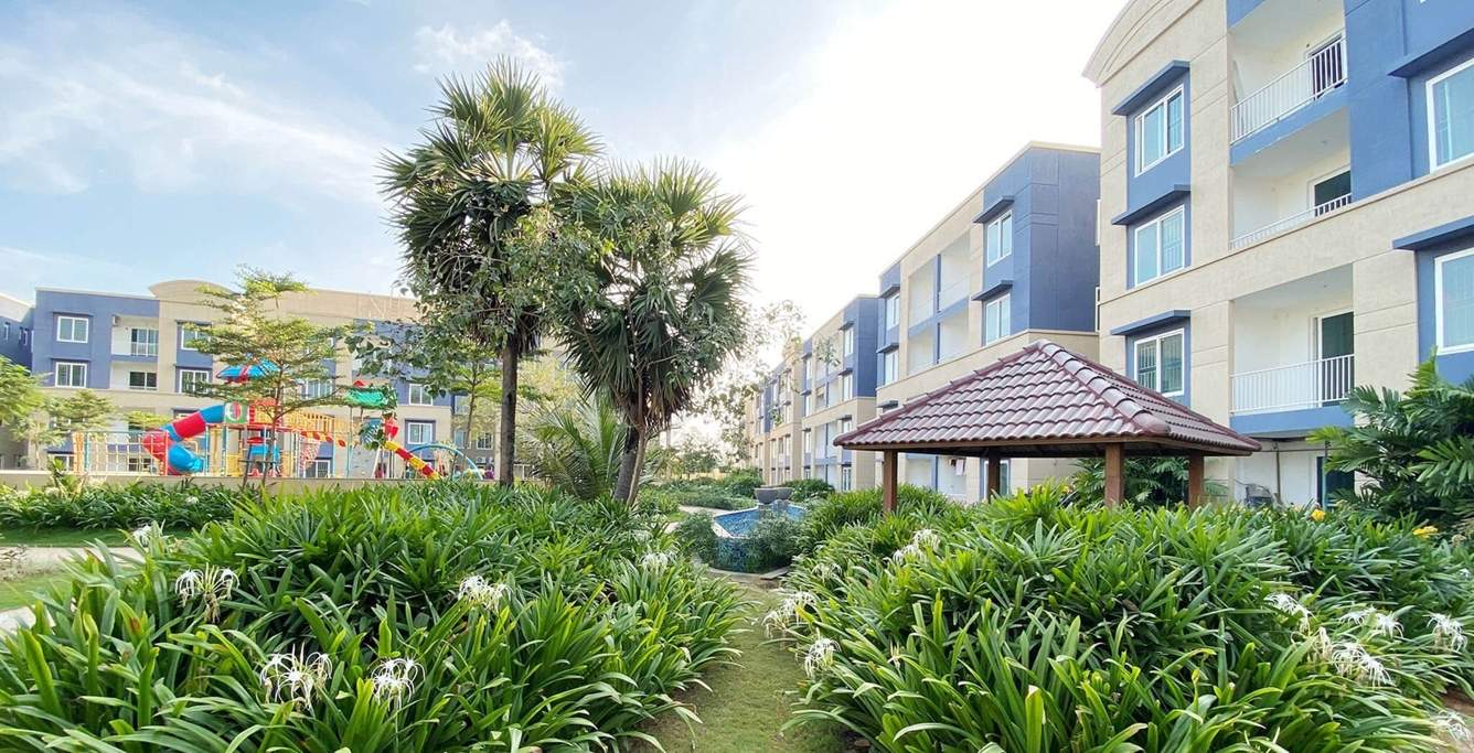  xanadu phase 2 Landscape Garden and Tree Planting