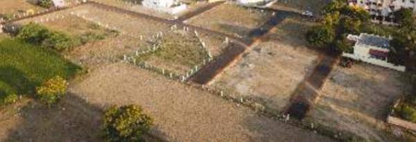  southern-meadows Plot