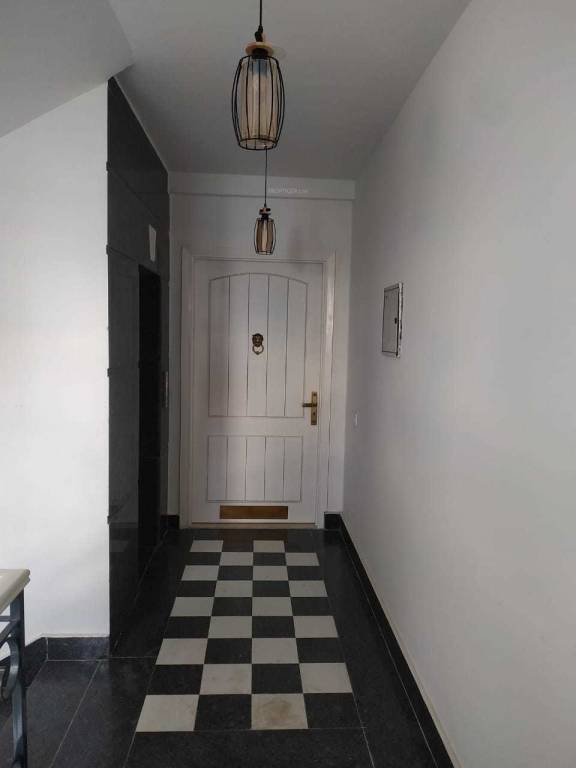 Images for mainOther