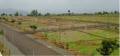 Avinash Group Raipur Magneto Signature Homes I Plot