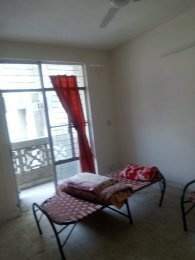 Images for mainOther