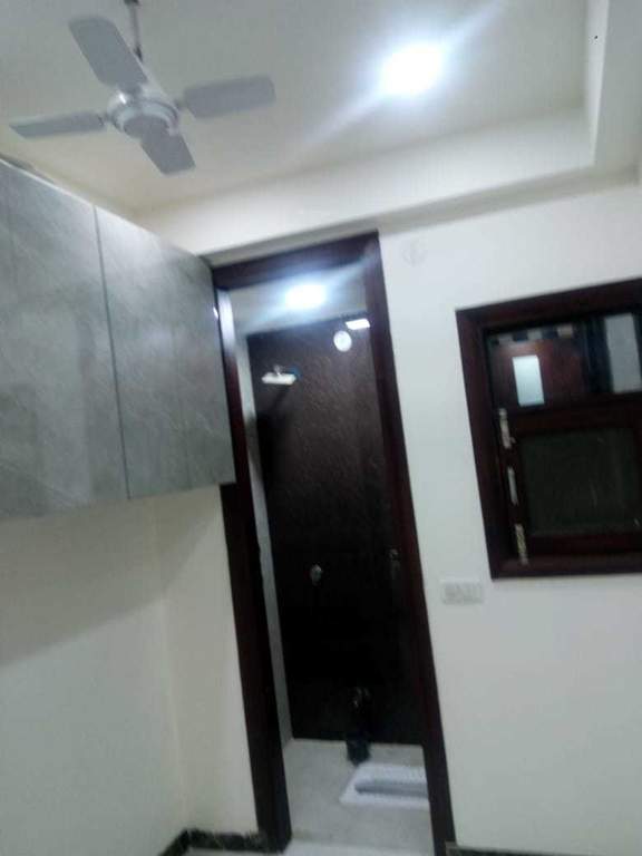 Images for mainOther