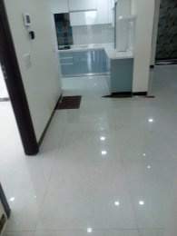 Images for mainOther