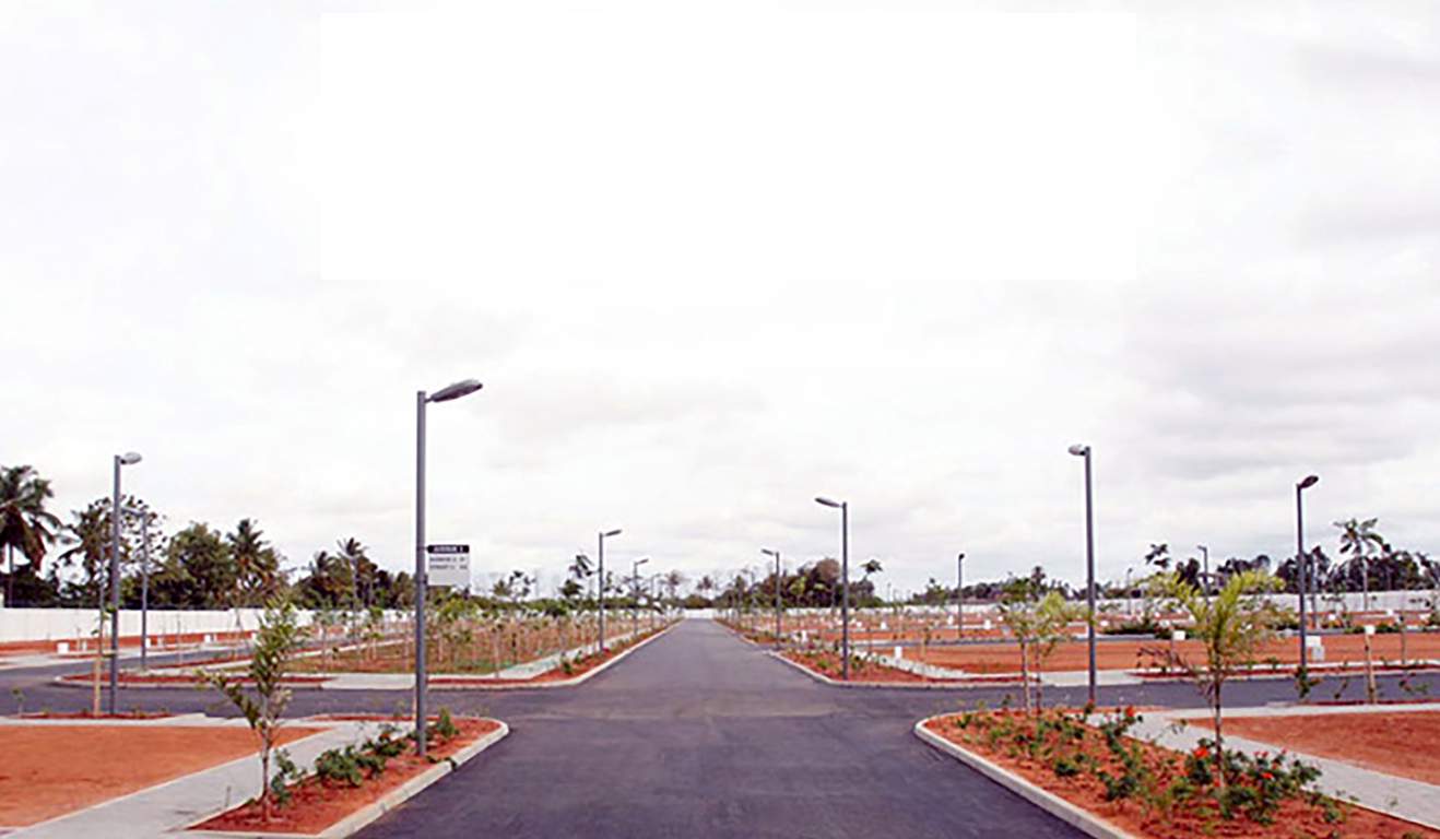 Images for mainOther