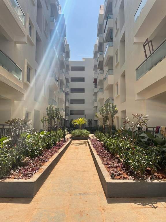  rich park Landscaped Gardens