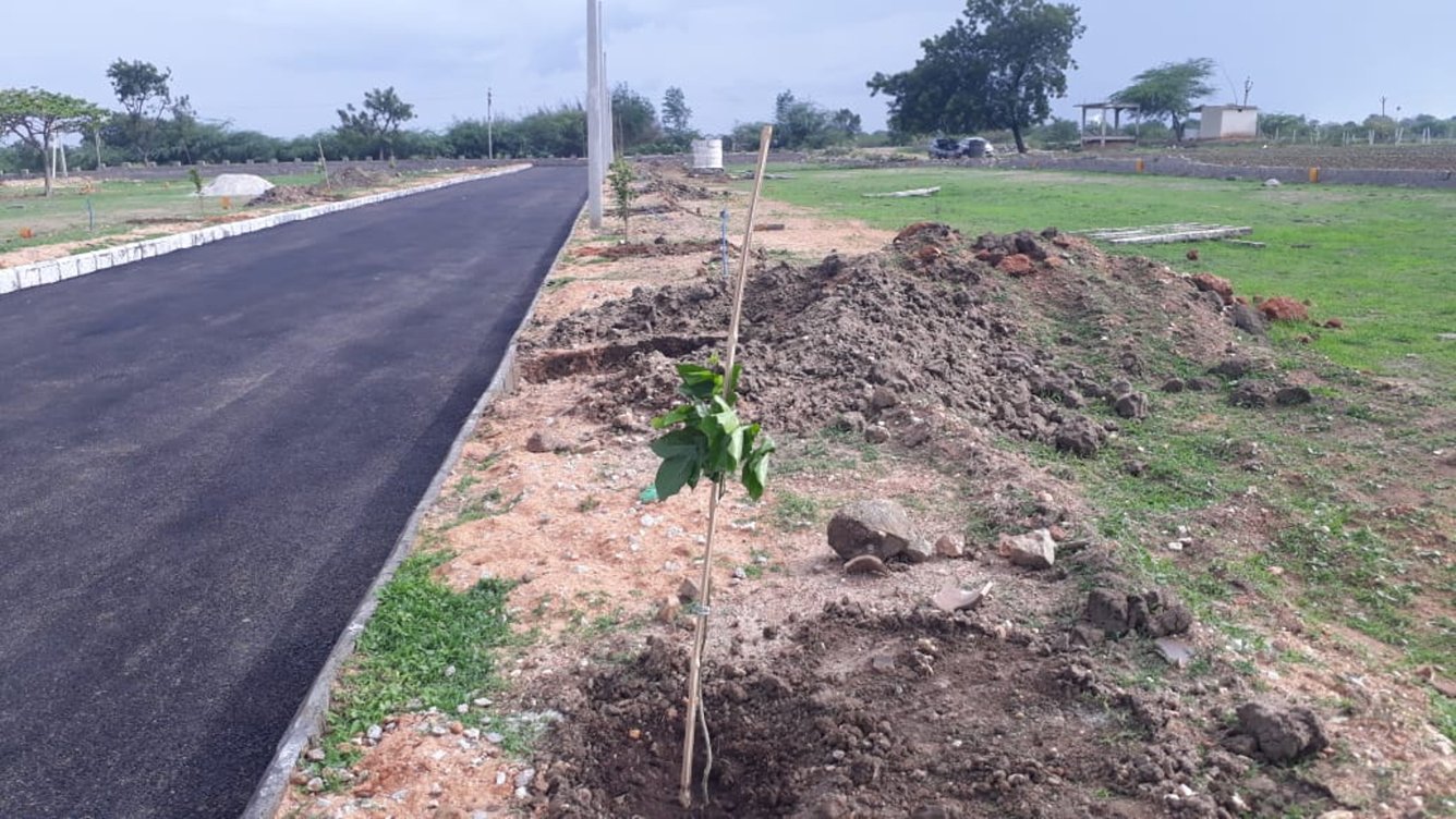 Images for mainOther