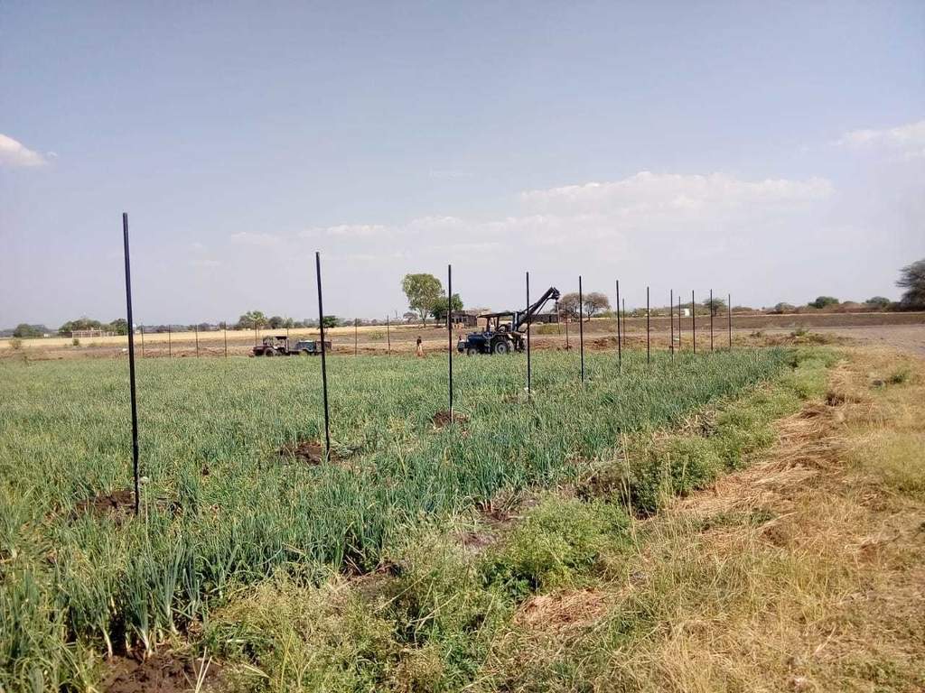  park Elevation