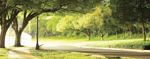  the-magnolia Landscaped Gardens