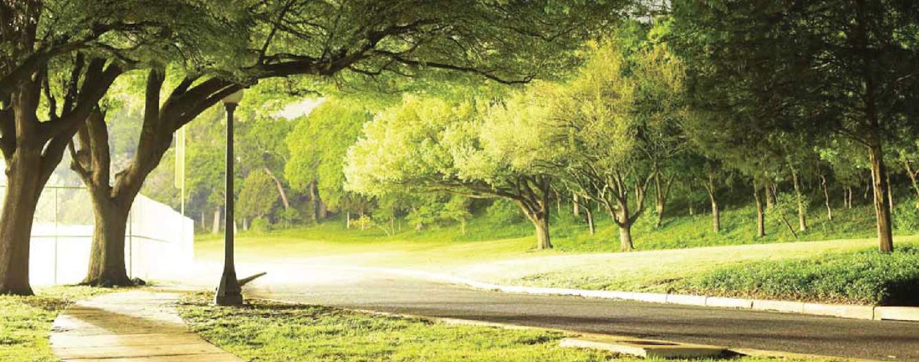  the magnolia Landscaped Gardens