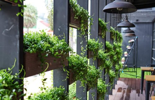  sowjanya Terrace Garden