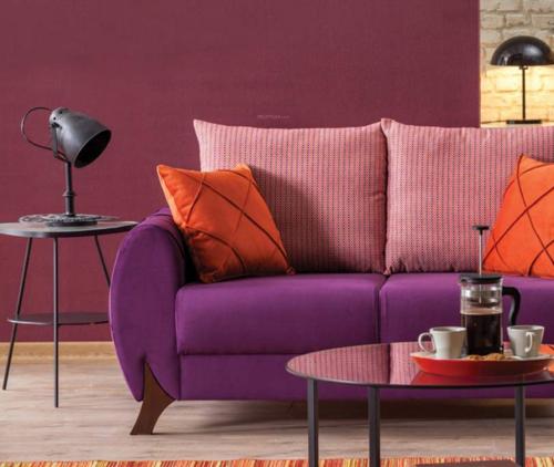  sowjanya Living Area