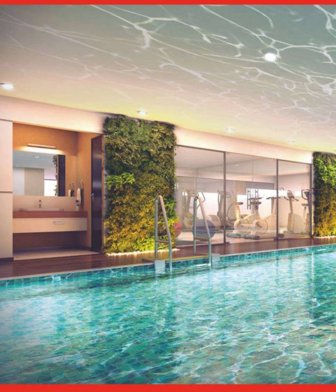  celestia Swimming Pool