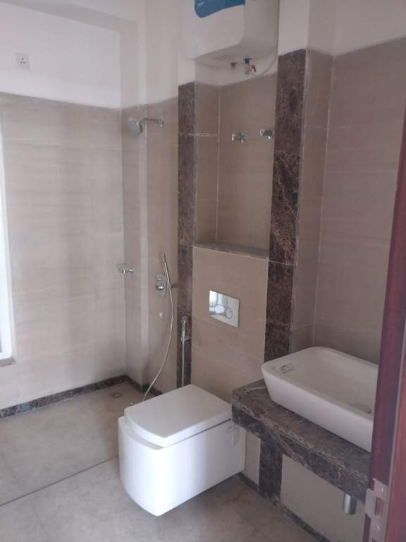 Images for mainOther