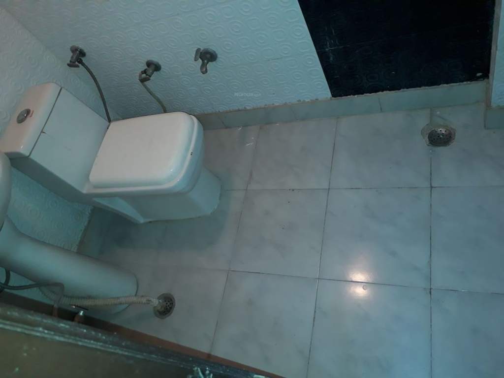 Images for mainOther