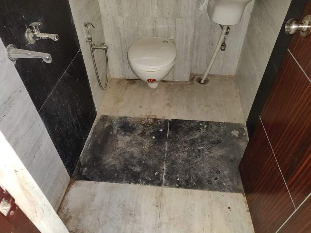 Images for mainOther