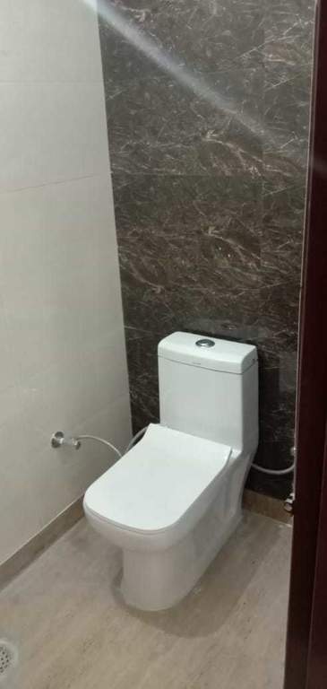 Images for mainOther