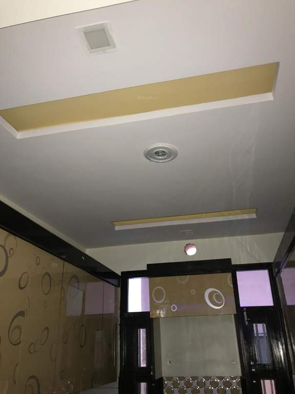 Images for mainOther