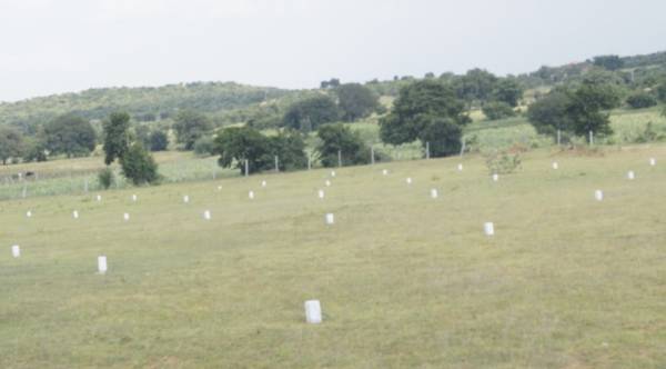 Images for mainOther