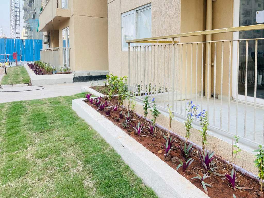  viva city Tower D Construction Status Feb 24