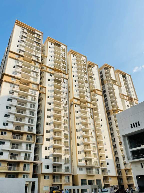  viva city Tower D Construction Status Feb 24