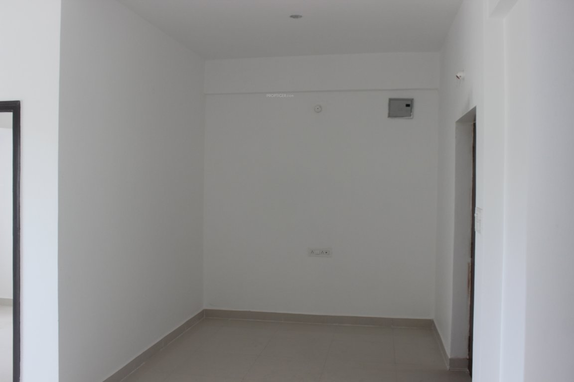 Images for mainOther