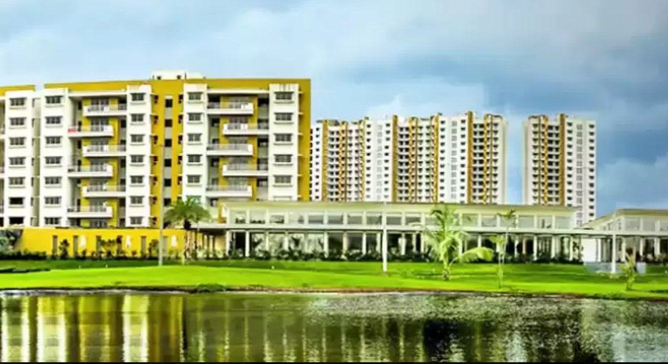  palava golden tomorrow Images for Project