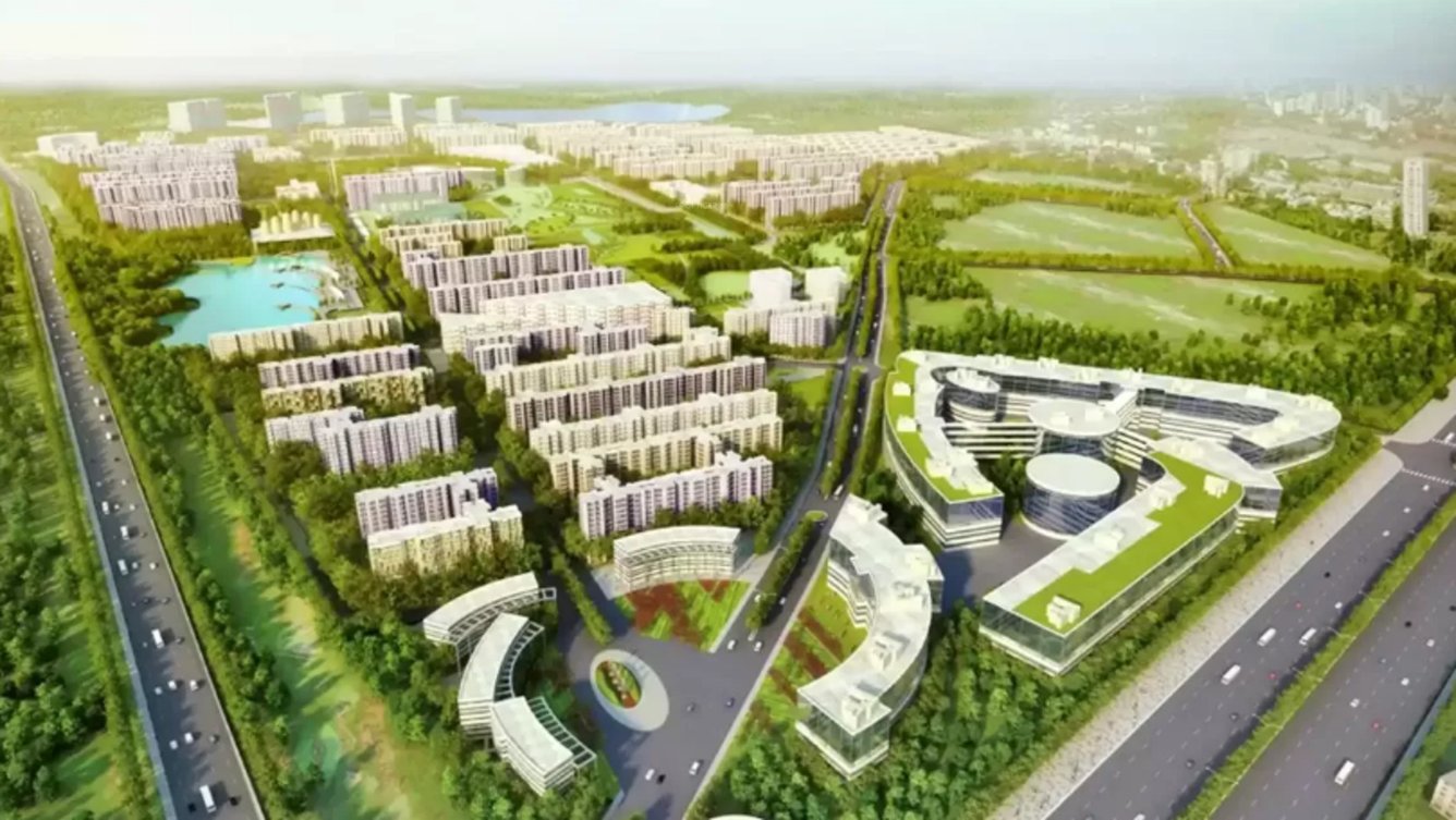  palava golden tomorrow Images for Project