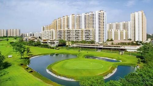  palava-golden-tomorrow Images for Project