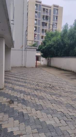  amadius elite Paved Compound