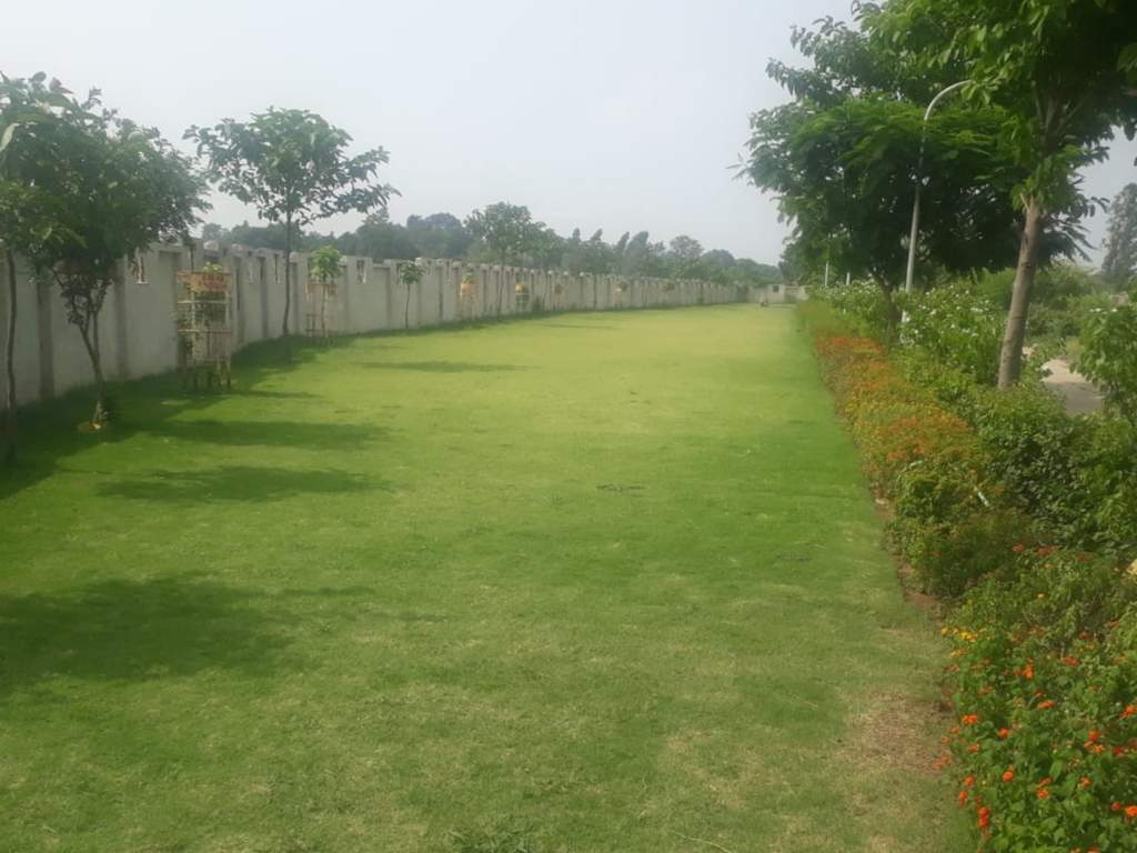  raisina phase i Landscape Garden and Tree Planting