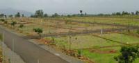 Park Plots