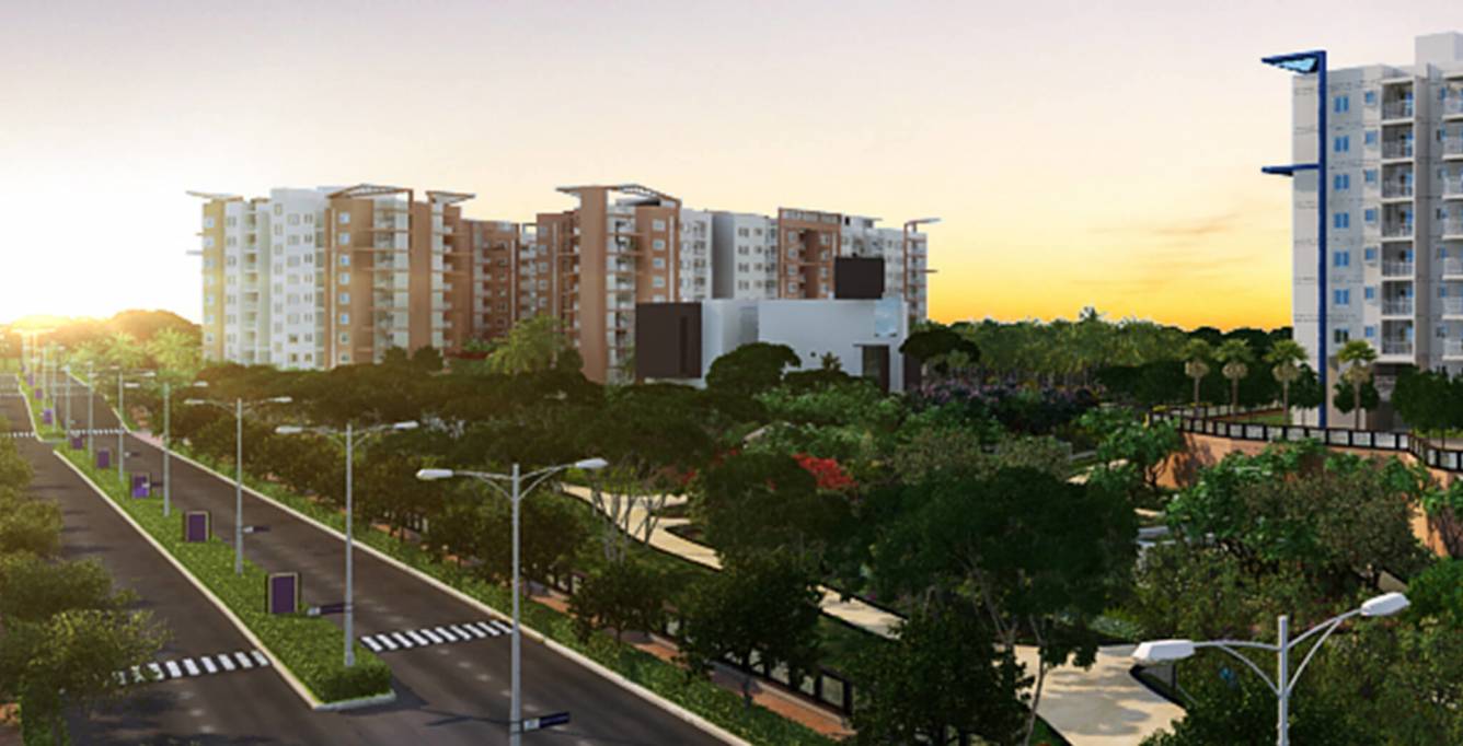 meadows Images for Project