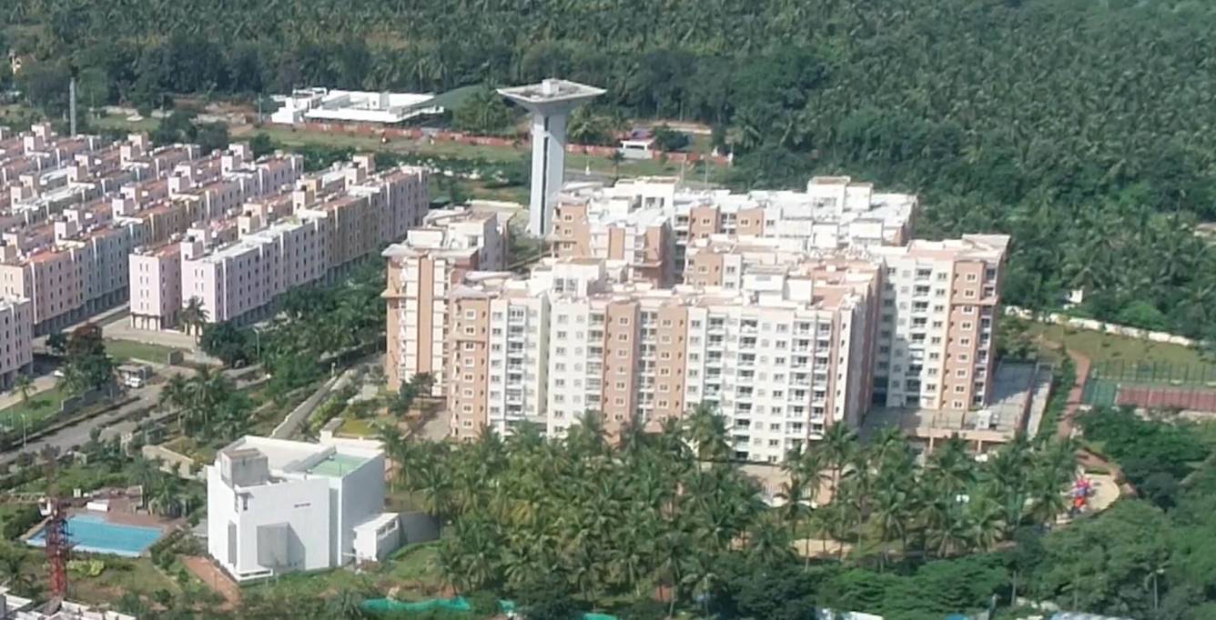 meadows Images for Project