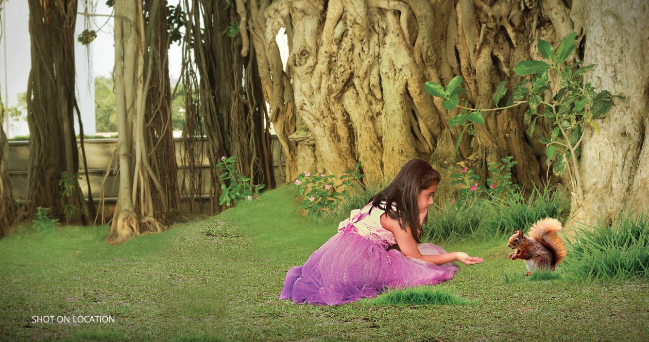 meadows Images for amenities