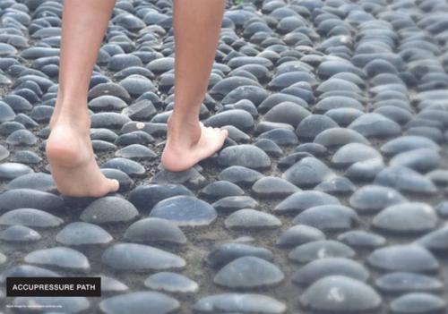  nest Acupressure Center