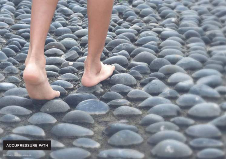  nest Acupressure Center