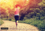 Jogging Track  nest Jogging Track