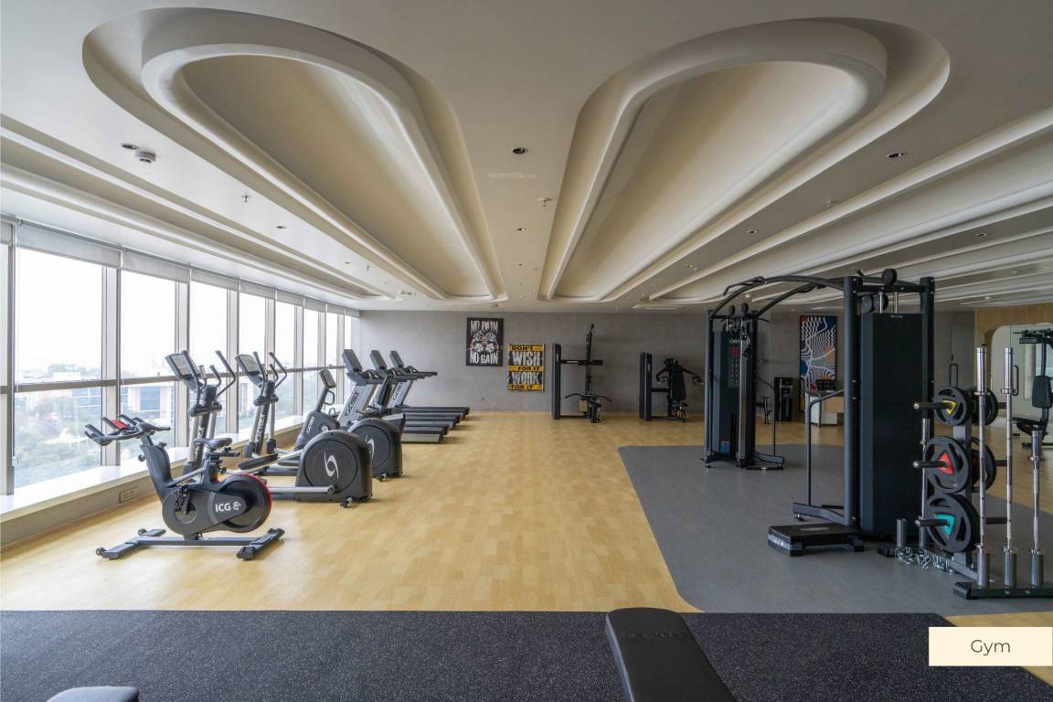  fortune one Gymnasium